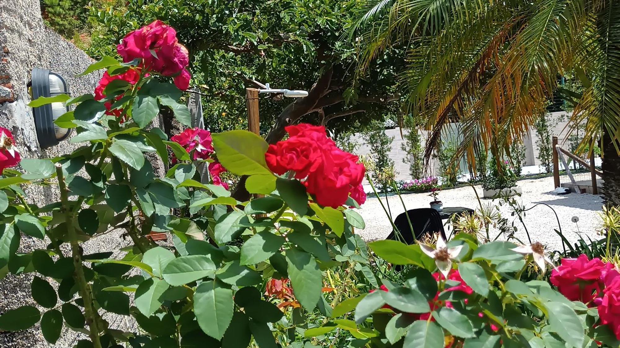 Casa Monteflor Governador Celso Ramos Kültér fotó